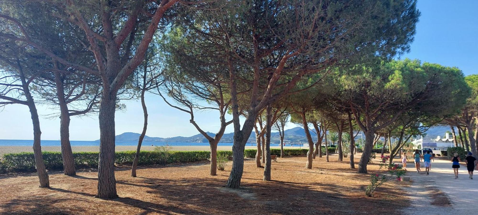 Sur La Plage, Super Studio Avec Vue Sur La Mer Plage dʼArgelès Exterior foto